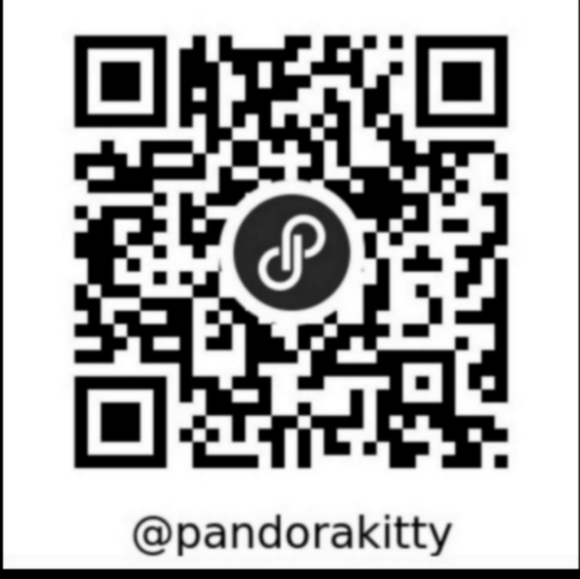 Southwest Silver Turquoise Blue Dream Catcher Earrings Feather Tassel Dangle NEW - Picture 12 of 12